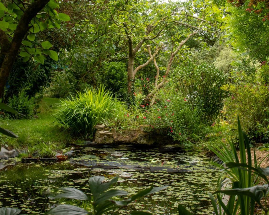 Une Suite Au Jardin Hyenville Εξωτερικό φωτογραφία
